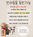 jj shop 속눈썹연장 | JHJ속눈썹