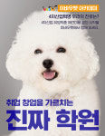 이바우펫애견미용학원 수원아카데미