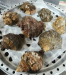 조개대장 진영본점