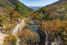 월아산 숲속의 진주