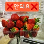 두드림딸기