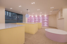 골든햄스터 분양 달빛햄스터리