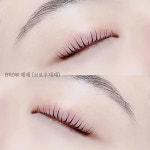 BROW 제제 [브로우제제]