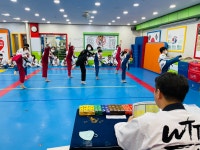고려대명문태권도