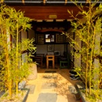 매화나무집민박