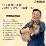 도담동물병원 강동