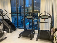 온리라이프 헬스 피티PT