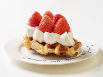 바이브로그커피 나주동신대점