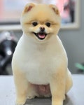 몽말순