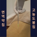 미사바른선한의원