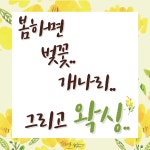 마이왁싱앤브로우 송파본점