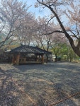 비밀의 정원