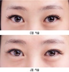 쉬즈래쉬(She's Lash) | 쉬즈아이 속눈썹