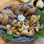 홍매회수산