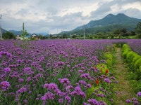 용대2리백담마을