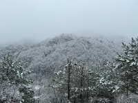 오이코스테이