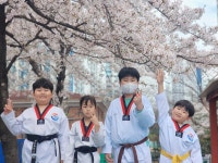 전진태권도