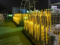 하이플레임스테이