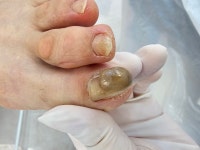 레푸스 방이역점