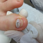 레푸스 방이역점