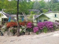 숲속그린펜션