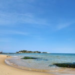 서프그라운드민박