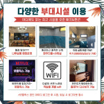 별빛나루