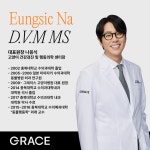그레이스 고양이병원