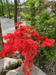 도마치캠핑장