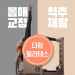 필라테스귄있다 | 더함 필라테스 운정 산내점