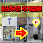 SK텔레콤 금호대리점 신도시2호점