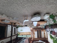 옥정당