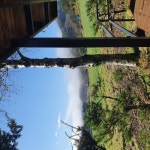 백복령펜션하우스식당