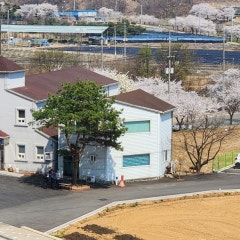 중앙교회