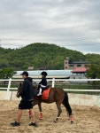 홀스홀릭포니클럽 남양주점