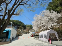 스크린골프펜션79