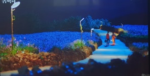 청산빌리지펜션