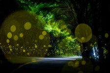 청산빌리지펜션