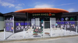 젠틀펫파라다이스