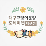 대구고양이분양 도레미캣