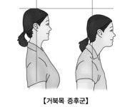 다인향스킨테라피