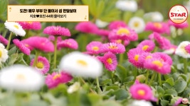 태란펜션
