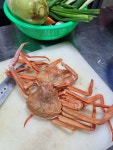 채선정 제주갈치 전문점