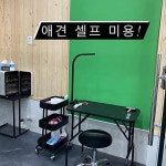 마이리틀프렌드 강남점