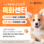 해운대 플러스동물병원