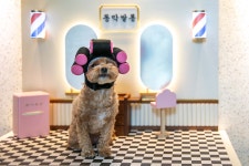 동막여관