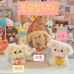아랑센트