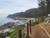 해돋이민박