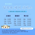 부산강아지분양 하이퍼피