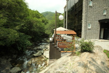 더널리 휴